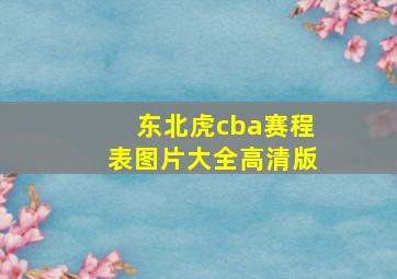 东北虎cba赛程表图片大全高清版