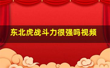 东北虎战斗力很强吗视频