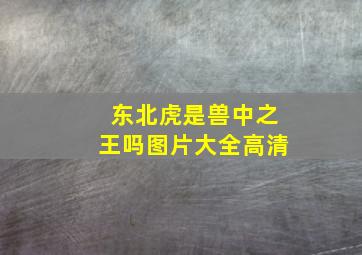 东北虎是兽中之王吗图片大全高清