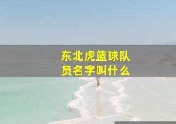 东北虎篮球队员名字叫什么