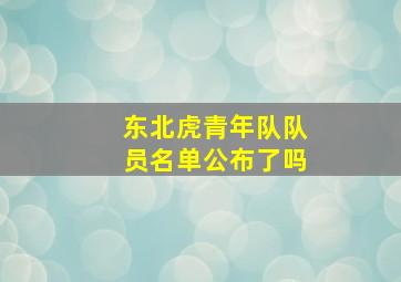 东北虎青年队队员名单公布了吗