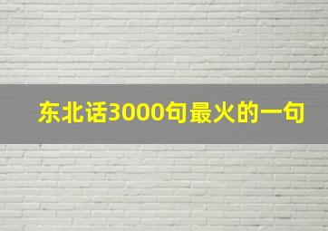 东北话3000句最火的一句