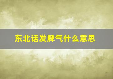 东北话发脾气什么意思