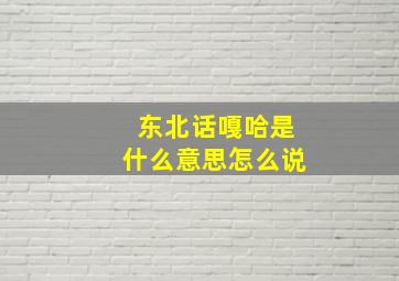 东北话嘎哈是什么意思怎么说