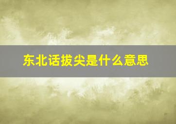 东北话拔尖是什么意思