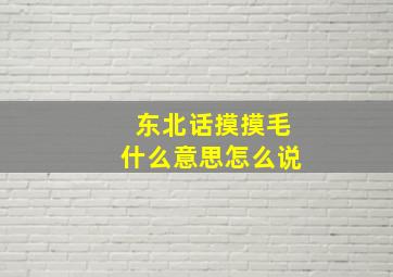 东北话摸摸毛什么意思怎么说