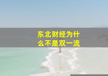 东北财经为什么不是双一流