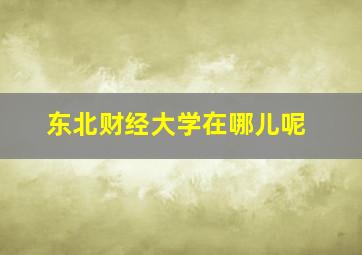 东北财经大学在哪儿呢