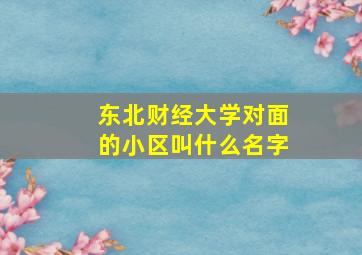 东北财经大学对面的小区叫什么名字