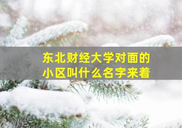 东北财经大学对面的小区叫什么名字来着