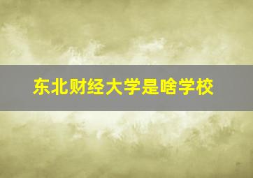 东北财经大学是啥学校