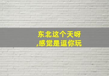 东北这个天呀,感觉是逗你玩