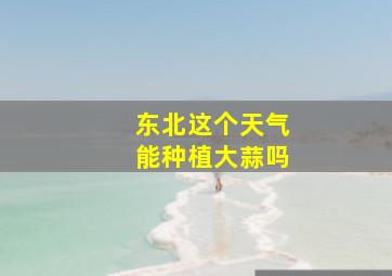 东北这个天气能种植大蒜吗