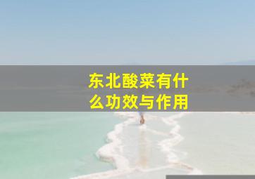 东北酸菜有什么功效与作用