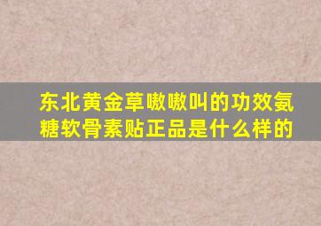 东北黄金草嗷嗷叫的功效氨糖软骨素贴正品是什么样的