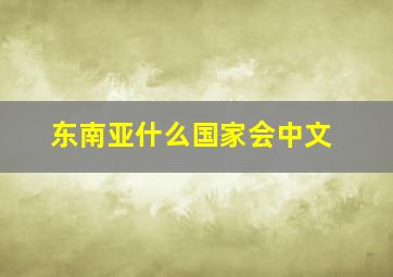 东南亚什么国家会中文