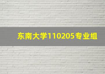 东南大学110205专业组