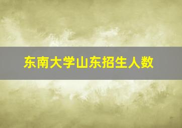 东南大学山东招生人数