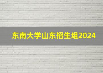 东南大学山东招生组2024