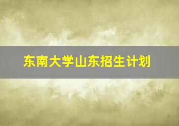 东南大学山东招生计划