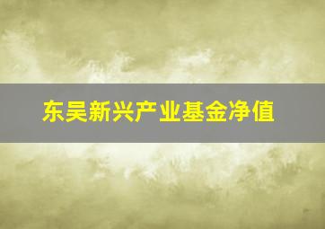 东吴新兴产业基金净值