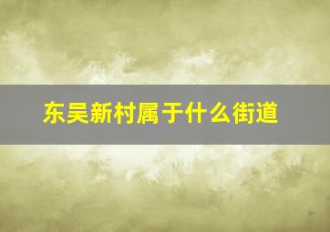 东吴新村属于什么街道