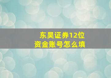 东吴证券12位资金账号怎么填