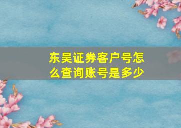 东吴证券客户号怎么查询账号是多少