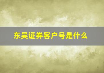 东吴证券客户号是什么