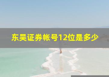 东吴证券帐号12位是多少