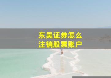 东吴证券怎么注销股票账户