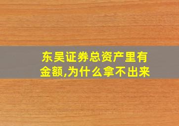 东吴证券总资产里有金额,为什么拿不出来