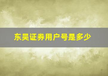 东吴证券用户号是多少