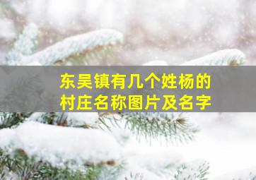 东吴镇有几个姓杨的村庄名称图片及名字