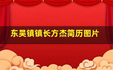 东吴镇镇长方杰简历图片