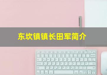 东坎镇镇长田军简介