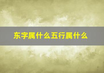 东字属什么五行属什么