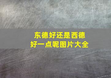 东德好还是西德好一点呢图片大全