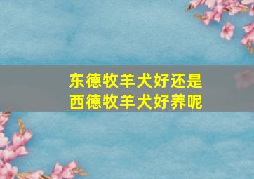 东德牧羊犬好还是西德牧羊犬好养呢