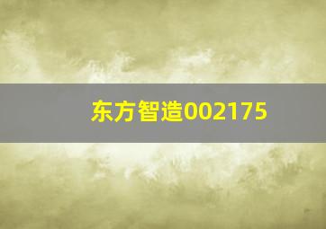 东方智造002175