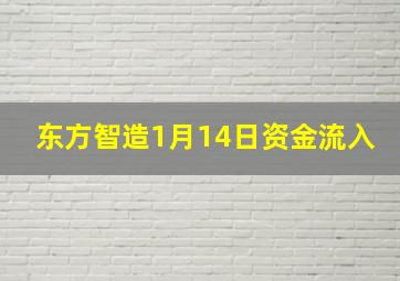 东方智造1月14日资金流入