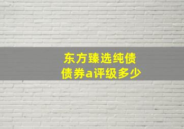 东方臻选纯债债券a评级多少