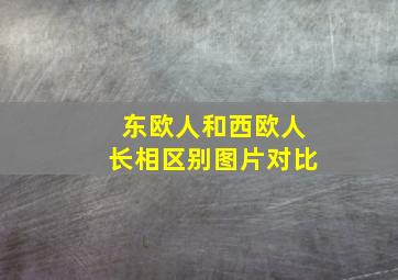 东欧人和西欧人长相区别图片对比