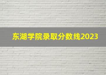 东湖学院录取分数线2023