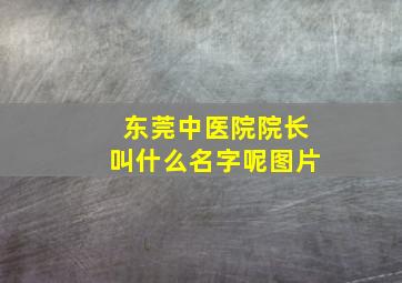 东莞中医院院长叫什么名字呢图片