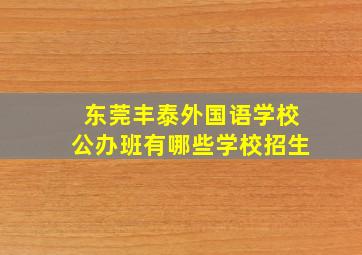 东莞丰泰外国语学校公办班有哪些学校招生