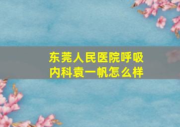 东莞人民医院呼吸内科袁一帆怎么样