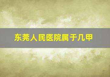 东莞人民医院属于几甲