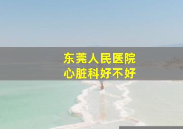 东莞人民医院心脏科好不好