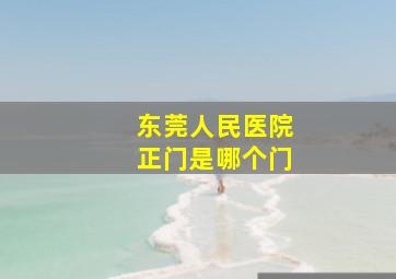 东莞人民医院正门是哪个门